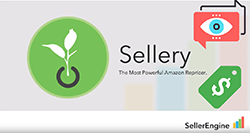 Sellery pricing overview