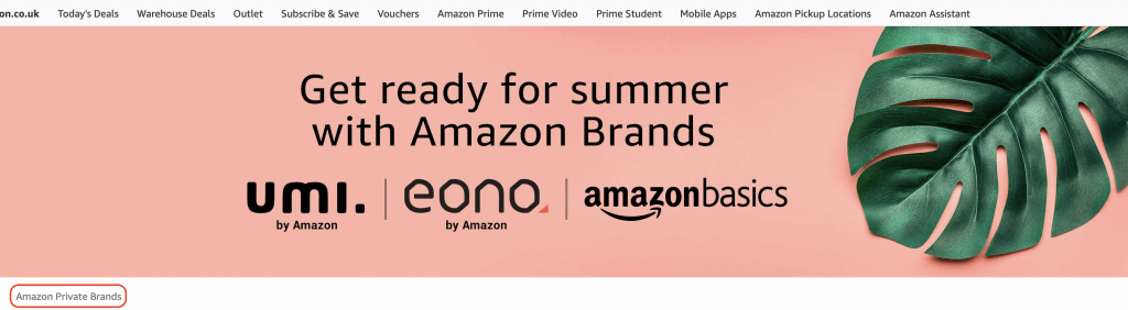 Image: Amazon Private Brnads Banner