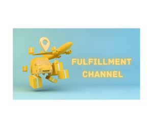 Image: Fulfillment Channel graphic