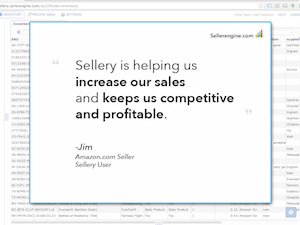 increase sales with Sellery