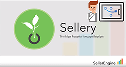 Sellery Pricing Strategies and Rule