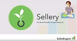 Sellery The Receiving Tab