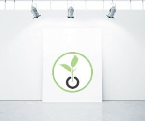 Image: Product SpotLight Sellery
