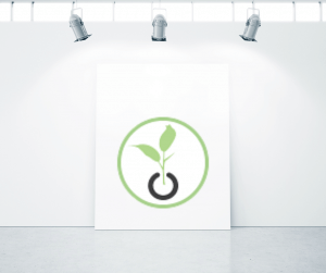 image: spotlights on Sellery logo